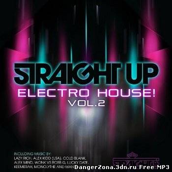 Straight Up Electro House Vol. 2