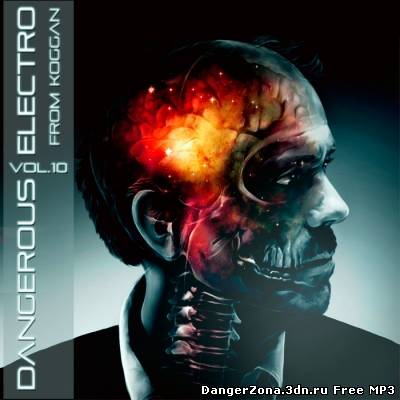 Dangerous Electro Vol.10(2010)