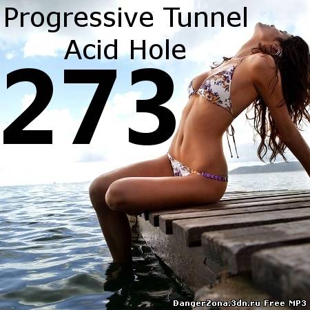 Progressive Tunnel - Acid Hole - 273 (21.10.2010)